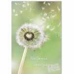 Trauerkarte Pusteblume Für immer unvergessen, Eulzer