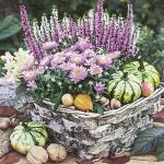 Serviette 33x33cm FSC-Mix Autumn Basket, 3-lagig, 20...