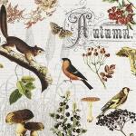 Serviette 33x33cm FSC-Mix Autumn Collage, 3-lagig, 20...