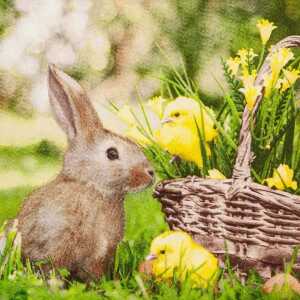 Serviette 33x33cm FSC-Mix Rabbit and Chicks, 3-lagig, 20 Stück