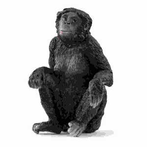schleich Wild Life Bonobo Weibchen 6cm, schleich
