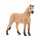 schleich Horse Club Fjord Pferd Wallach 11cm, schleich
