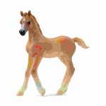 schleich Horse Club Araber Fohlen 8cm, schleich