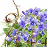 Serviette 33x33cm Violettes, 3-lagig, 20 Stück