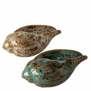 Deko-Muschel Alyssa beige braun L: 14cm sortiert, 2fach sortiert