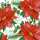 Servietten 33x33cm Floral Christmas FSC-Mix, 20er, 3-lagig