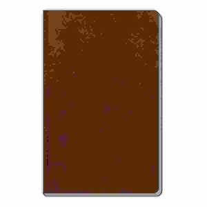 Adressbuch Soft Touch Slim braun 8x15cm, Trötsch Verlag