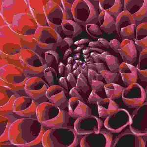 Motivserviette 25x25cm Herbst 7321012034122