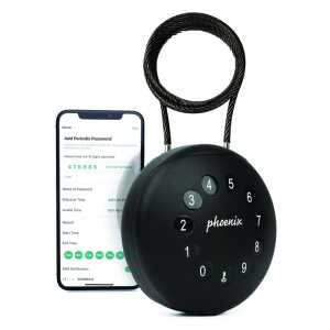 PHOENIX Schlüsseltresor PALM KS0212EC