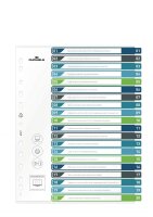 Durable Ordnerregister A4 hoch 20tlg farbige...