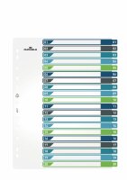 Durable Ordnerregister A4 hoch 20tlg farbige beschriftbare Taben