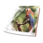 Prospekthülle, oben offen, A4, PP, 80 my,...