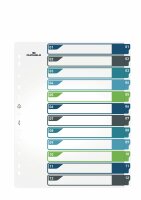 Durable Ordnerregister A4 hoch 12tlg farbige beschriftbare Taben