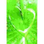 Grußkarte Midi Tau 7,5x10,8cm 4016723456044