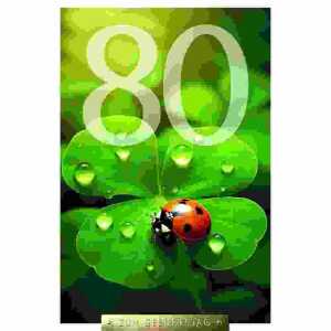 Zahlenkarte 80. Geburtstag Kurt Eulzer 4016723541481