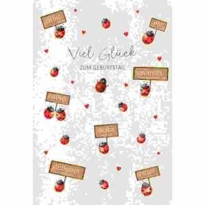 Glückwunschkarte Geburtstag/Marienkäfer 4016723832855