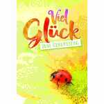 Glückwunschkarte Geburtstag/gelbe Blume