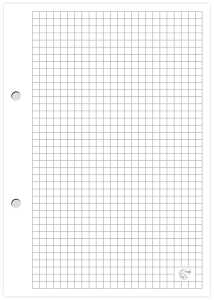 Interdruk Ringbucheinlage A5 kariert 100 Blatt
