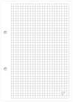 Interdruk Ringbucheinlage A5 kariert 100 Blatt