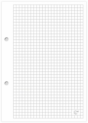 Interdruk Ringbucheinlagenblock A4 kariert 100 Blatt