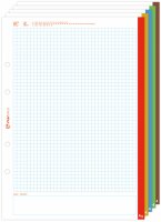 Interdruk Ringbucheinlage A5 kariert 50 Blatt  unterteilt...