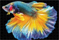 Interdruk Puzzle 250 Teile Bunte Natur 6 Fische