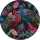 Interdruk Puzzle 500 Teile Runden Secret Garden 1