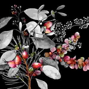 Serviette 33x33cm Ruusunmarja & Lehdet black; 3-lagig, 20 Stück