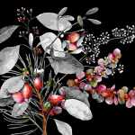 Serviette 33x33cm Ruusunmarja & Lehdet black;...