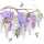 Serviette 33x33cm Wisteria & Hummingbirds, 3-lagig, 20 Stück, ti-flair