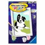Malen nach Zahlen Serie F Border Collie Welpe,