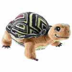 SDMT Schildkröte GRS "Henrietta"...