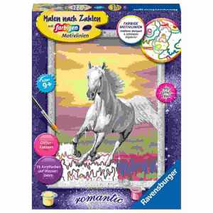 Malen nach Zahlen Serie D Galoppierender Schimmel,