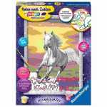 Malen nach Zahlen Serie D Galoppierender Schimmel,