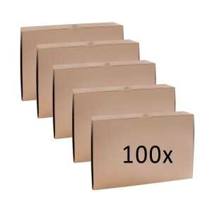 Bundle Maxibriefkarton 350x250x50mm braun 100er, 100x Maxibriefkarton