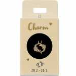 Charm Fische Nr.23, für Halsketten und...