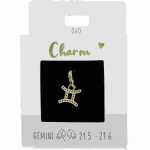 Charms Express Zwillinge gold, Nr.60 für Halsketten...