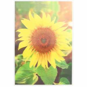 Klappkarte 3D ART Motiv 36, Depesche