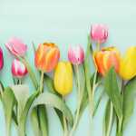 Servietten 33x33cm Rainbow Tulips mint, Atelier 20er,...