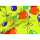 Geschenkpapier 2mx70cm Luftballons lime, Braun & Company