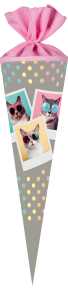 Nestler Schultüte Filzv. 70 cm rund Cool Cats