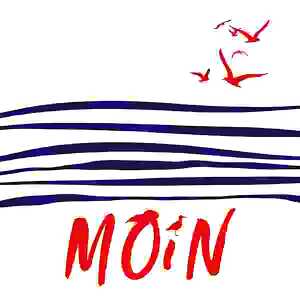 Servietten 33x33cm Moin, 3-lagig, 20er