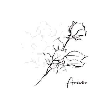 Servietten 33x33cm Forever in my Heart black, 3-lagig, 20er