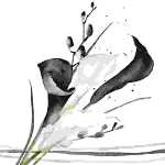 Servietten 33x33cm Black & White Calla, 3-lagig, 20er