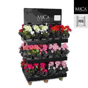 Kunstpflanze Geranium im Topf H11,5cm lachs, 34x20cm