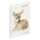 Pagna Freundebuch Reh 60S 4009212063441
