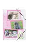 Pagna Gummizugmappe A4 PP Katzenbabys 3 Einschlagklappen