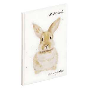 Pagna Freundebuch Hase 60S 4009212063465