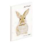 Pagna Freundebuch Hase 60S 4009212063465