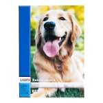 Zeichenblock, A2 10 Blatt 100 g/m² holzfreier...